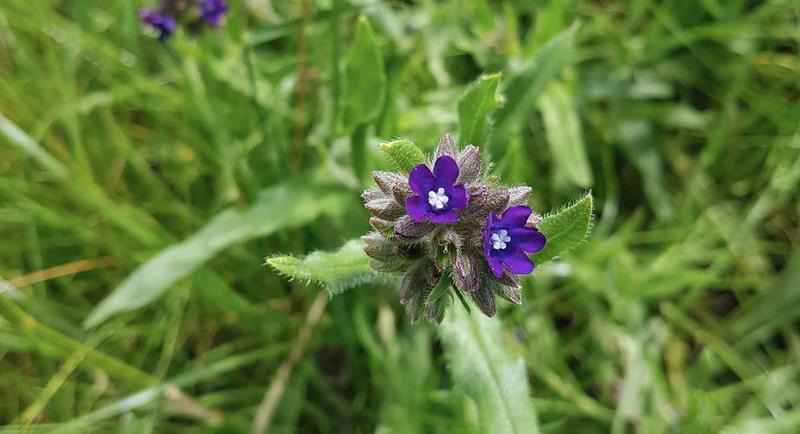 Farbowanie włosów w domu