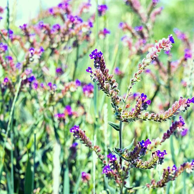 Jak wybrać idealną farbę do farbowania w domu?